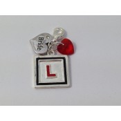 Hen Party Clip on Charms (6)